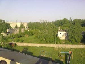 Зеленая зона в Агропроме, 2014